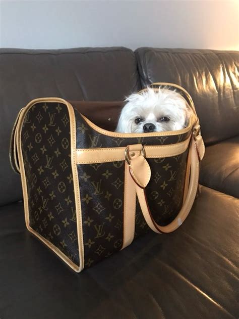 bag dog louis vuitton|faux Louis Vuitton dog carriers.